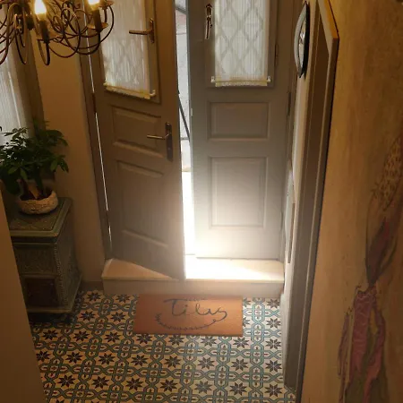 Hotel Tilas - In 19th Century Wooden Townhouse,kadikoy Estambul