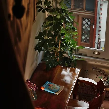 Tilas - In 19th Century Wooden Townhouse,kadikoy Hotel Estambul