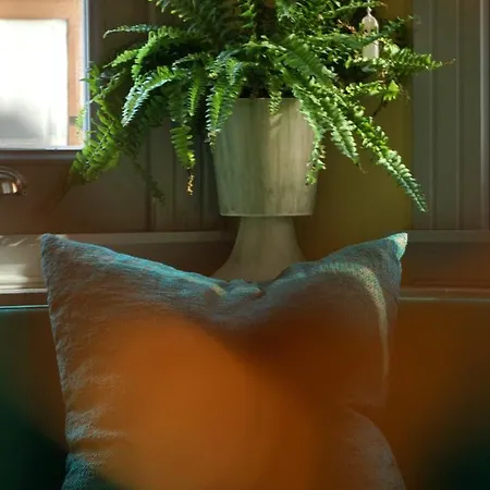 Tilas - In 19th Century Wooden Townhouse,kadikoy