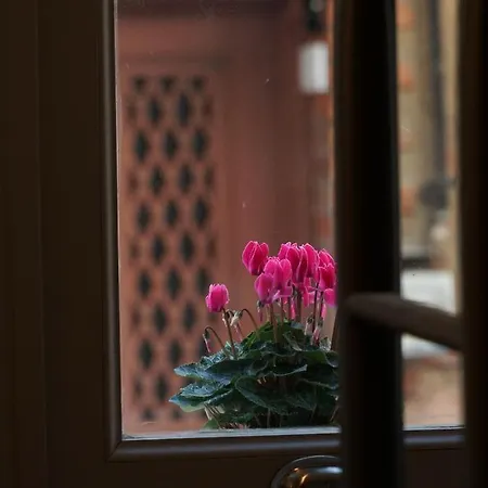 Tilas - In 19th Century Wooden Townhouse,kadikoy Estambul