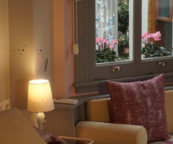 Tilas - In 19th Century Wooden Townhouse,kadikoy * اسطنبول