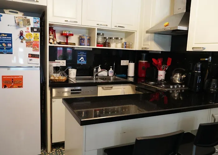 Tilas - In 19th Century Wooden Townhouse,kadikoy فندق